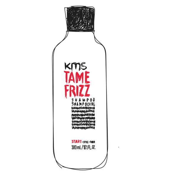 TameFrizz Shampoo